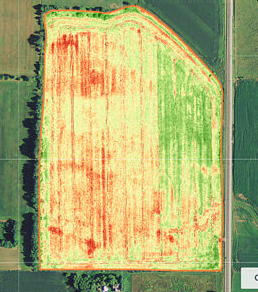 Farm Field Analysis