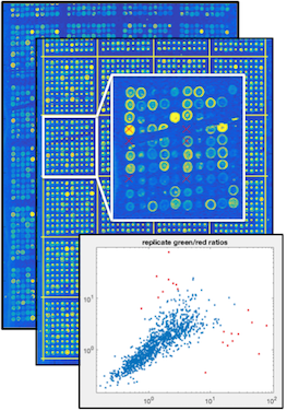 Gene Expression Data Browser